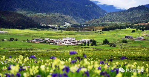 一、 乱弹：为什么要写这么烂的文章