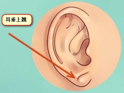 一、 耳廓上翻——固执与逆反心理的外显