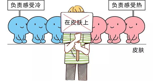 （一）选择正规机构与专业人士的重要性