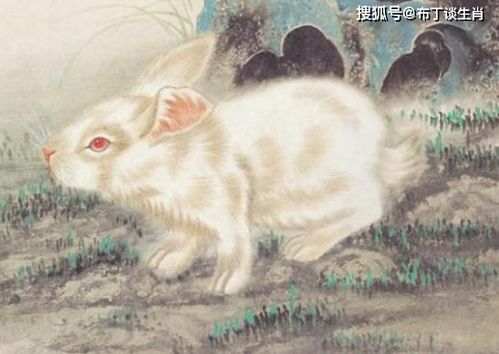 与思考