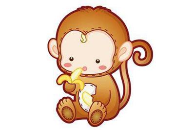 2026年属猴人的财运如何提升方法有哪些？