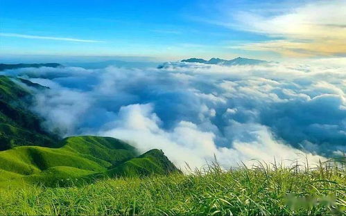 龙尾巴长吗？春风得意如同龙腾云海。