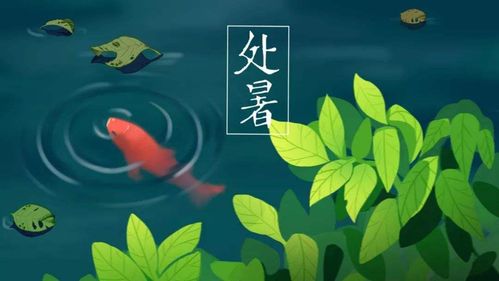 1.1 节气起算的历史渊源与方法