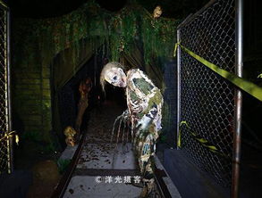 万圣夜惊魂：古墓较深处的鬼影与命运的抉择