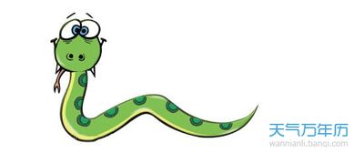 属蛇的婚姻和本命年礼物分别代表什么含义？