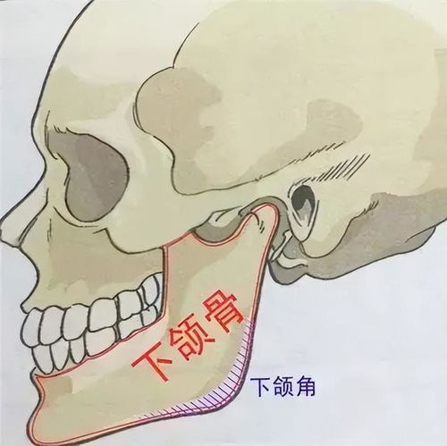 三、 国学思想：天人合一与个人修养
