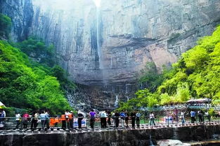 餐饮黑店大曝光