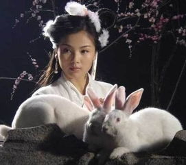 一、 研究背景与意义