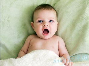 陈姓腊月出生的牛年宝宝，为何取名陈腊牛？