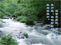 三、甲寅乙卯 大溪水命人的总体特征