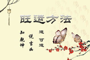 感情运势：桃花盛开与理性抉择并行