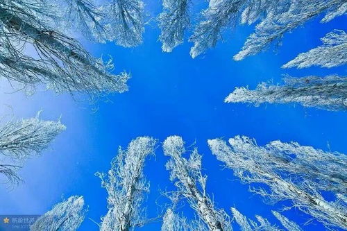 春日意境与感官体验的深度解析