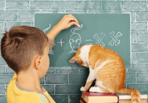 虎虎这个名字对男孩来说，寓意勇猛有力，那么，虎虎作为男孩的小名，是否吉祥如意呢？