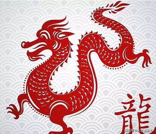 2026年生肖龙财运运势完整版解析具体是什么？