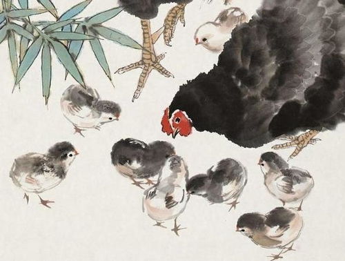 兔年属鸡女的爱情运势如何？属鸡女的转运招财物件是什么？