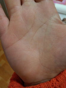 面相手相八字，哪个更准确预测命运？