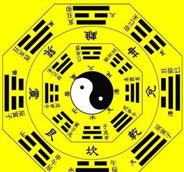 二、 八字命理视角下男性群体情感更多元化倾向的系统阐释