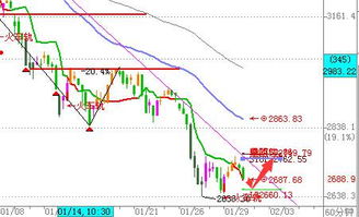 不同格局下的財運預測