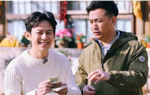 何炅八字命理中，向往的生活与黄磊何炅婚姻有何关联？