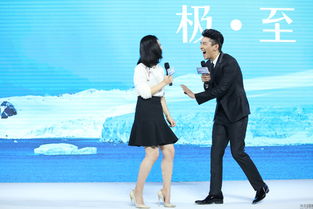 杨子姗和赵又廷的八字是什么？