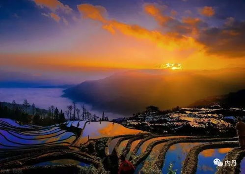 日出——雾里堪花终隔一层