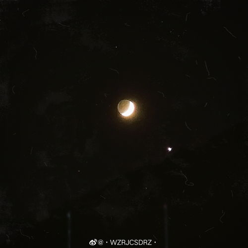 八字中金星能如何运用？金星伴月天象有何影响？