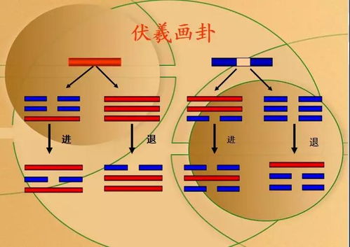 普遍适用性：年龄与领域的超越
