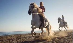 男人Zuo梦骑马奔跑预示着什么好运或挑战？