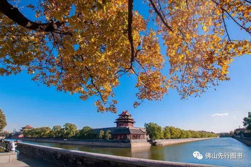 秋季去哪里旅游比较好呢？