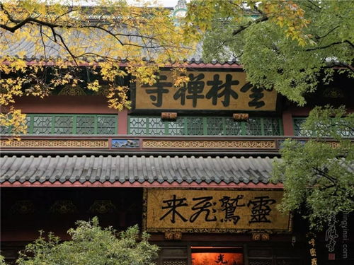 三、地域性静修胜地——太行山较大别野与洱海较大理古城