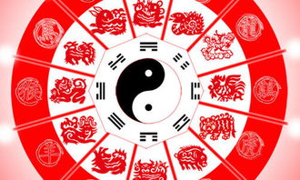 生肖星座视角下的象征意义解析