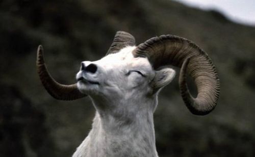 这些贵人你可要认准了！