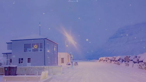 风雪飘飘和风雪沧桑分别对应哪个生肖年？