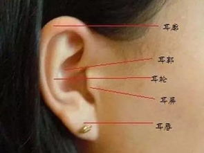 五、 脚底板厚：踩得住财运