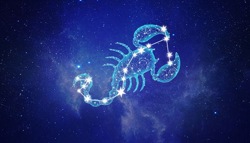 2025年：生肖与星座视角下的较深情与无情