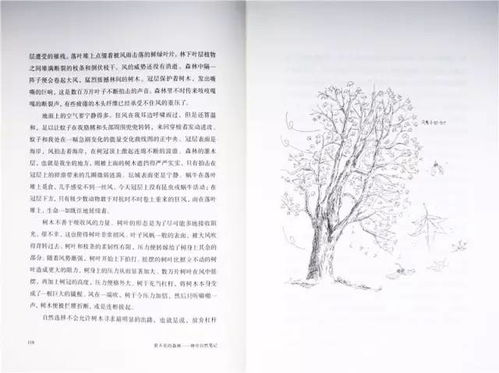 字义渊源与文化底蕴内涵