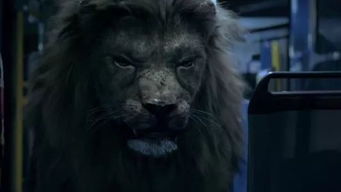 梦见凶兽吞噬同伴，这是怎么回事呢？