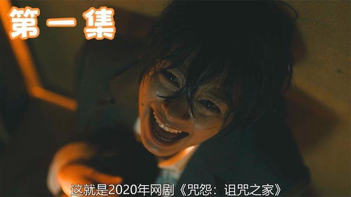 一、 探究背景与总体概述