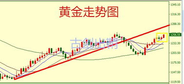 三、 具体活动推荐及注意事项
