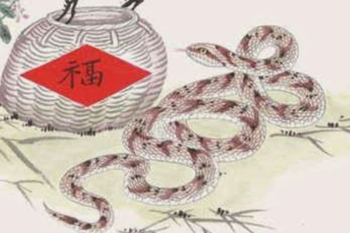 将等闲之人打一生肖，这生肖究竟会是哪一个呢？