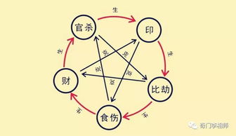3. 财星生官并为喜用神型