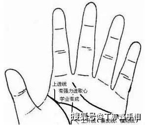 二、  水星丘的形态与智力资本的转化