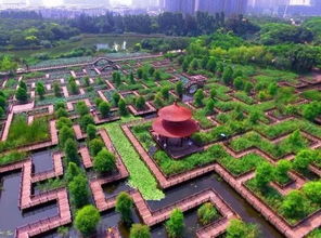 误入迷宫式观景台