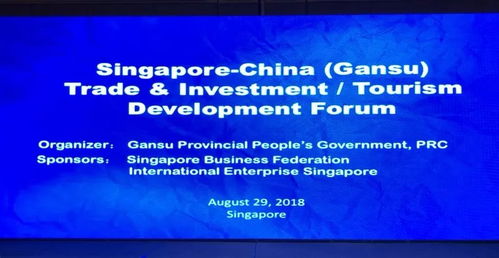 差异化策略：情感共鸣与服务升级