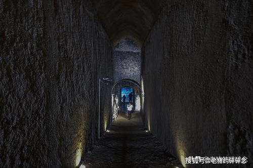 1.1 王老憨的惨剧