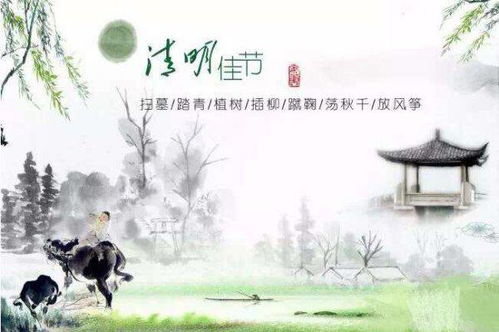 7. 射柳——射击技艺与社交互动相结合
