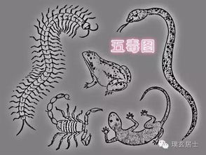 一、 核心概念之阐释——“毒五月”与“九毒日”之缘起