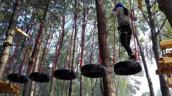 泉山森林公园门票套餐大揭秘！2026年去会被雷劈吗？