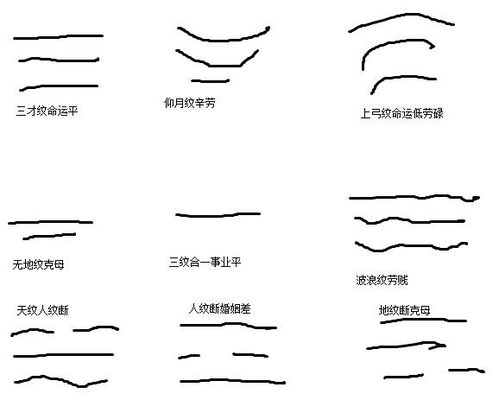 二、  常见抬头纹形态及其象征意义