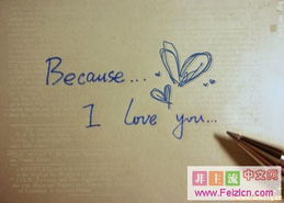 四、  语言艺术与情感表达：打动人心的沟通策略